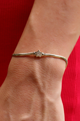 14 Ayar Altın Balık Sırtı Taşlı Yıldız Bileklik - 2